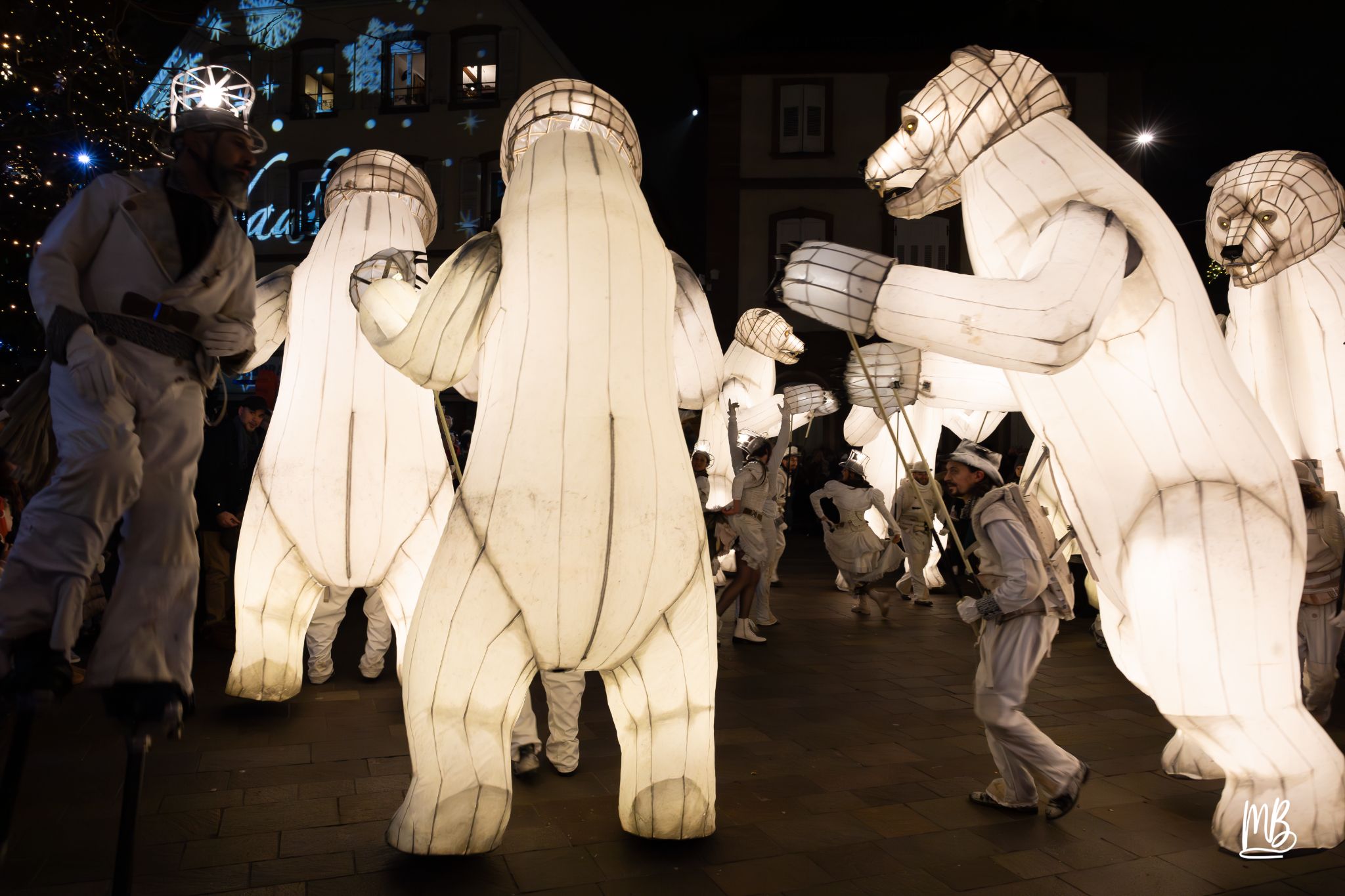 MB2024 CIE REMUE MENAGE(Gueule d'ours) (85 sur 107)